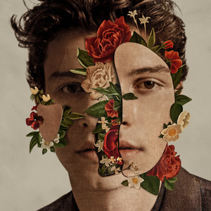 If I Can't Have You - Shawn Mendes listen song
