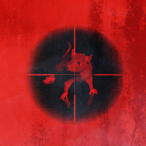 Killing The Rats - Kodak Black listen song