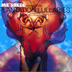 I'm Diggin' You - Like an Old Soul Record - Meshell Ndegeocello listen song