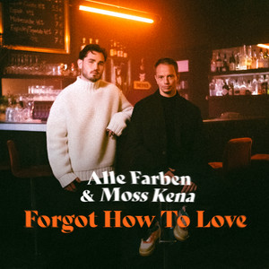Forgot How to Love - Alle Farben & Moss Kena listen song