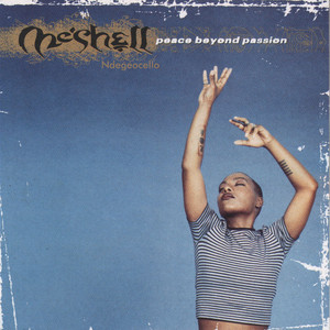 Make Me Wanna Holler - Meshell Ndegeocello listen song