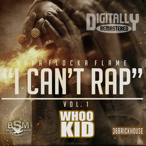 Draft Day - Waka Flocka Flame listen song