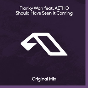 Should Have Seen It Coming - Franky Wah & AETHO listen song
