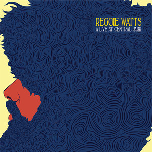 Tweet Yourself Right - Reggie Watts listen song