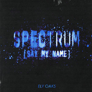 Spectrum (Say My Name) - Ely Oaks listen song