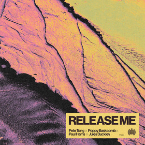 Release Me (feat. Jules Buckley) - Pete Tong & Poppy Baskcomb & Paul Harris & Jules Buckley listen song