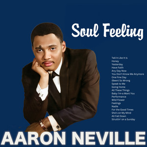 Tell It Like It Is - Aaron Neville listen song
