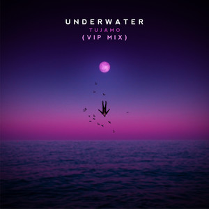 Underwater - VIP Mix - Tujamo listen song
