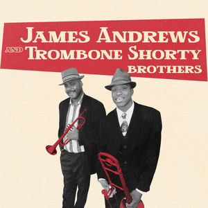 Zulu King - James Andrews & Dr. John & Donald Harrison & Trombone Shorty & Mark Brooks & Stanton Moore listen song