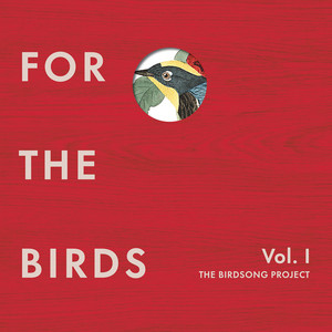 Bird Calling - Damon Albarn & Mark Ronson & Wale listen song