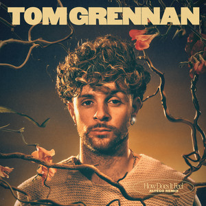 How Does It Feel - ALTÉGO Remix - Tom Grennan & ALTÉGO listen song