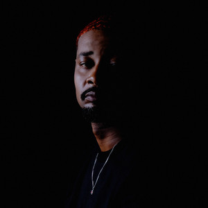 Y.B.P. (feat. Bruiser Wolf) - Danny Brown & Bruiser Wolf listen song