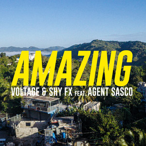Amazing (feat. Agent Sasco) - Voltage & SHY FX & Agent Sasco (Assassin) listen song