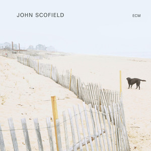 Trance De Jour - John Scofield listen song