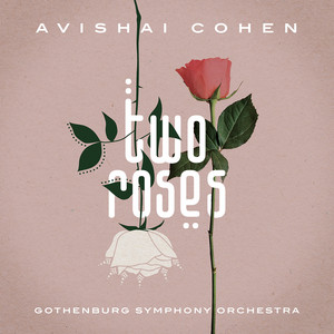 When I'm Falling - Avishai Cohen & Gothenburg Symphony Orchestra & Elchin Shirinov & Mark Guiliana listen song