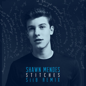 Stitches - Seeb Remix - Shawn Mendes & Seeb listen song