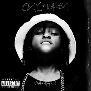 Prescription/Oxymoron - ScHoolboy Q listen song