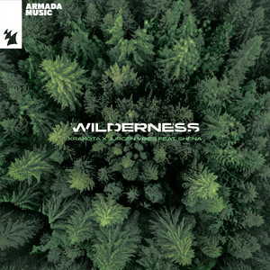 artist cover