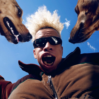 artist cover