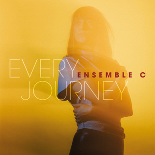 artist cover