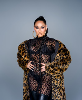 artist cover