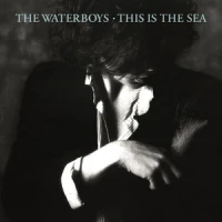 The Whole of the Moon - 2004 Remaster - The Waterboys