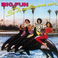 The Second Time Around - Shalamar