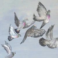 artist cover