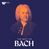 Bach, JS: Brandenburg Concerto No. 4 in G Major, BWV 1049: II. Andante - Johann Sebastian Bach & Sir Neville Marriner & Academy of St. Martin in the Fields & Catherine Latham & Iona Brown & John Constable & Philip Pickett listen song