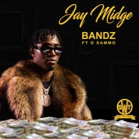 artist cover